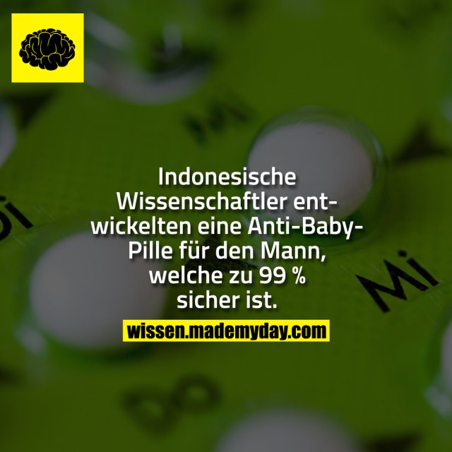 Indonesische Wissenschaftler entwickelten eine Anti-Baby-Pille für den Mann, welche zu 99 % sicher ist.