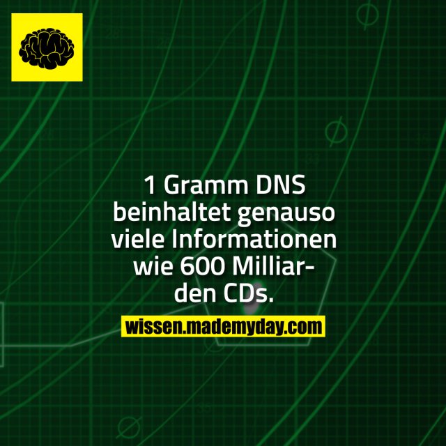 1 Gramm DNS beinhaltet genauso viele Informationen wie 600 Milliarden CDs.