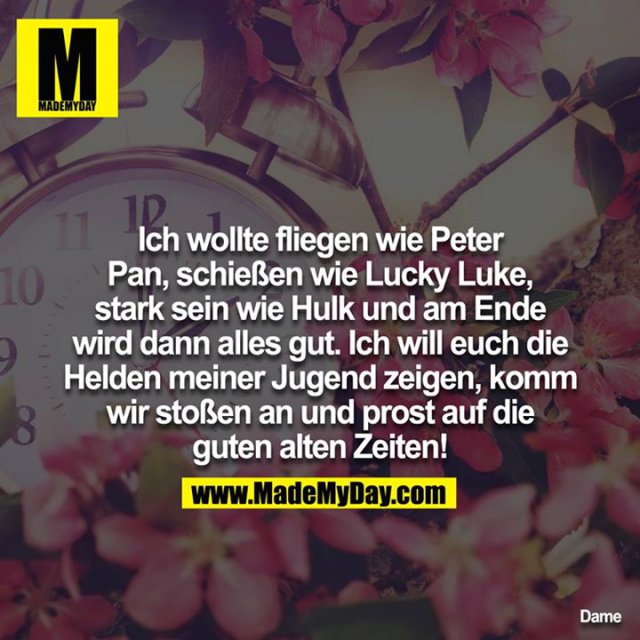 Ich wollte fliegen wie Peter Pan, schießen wie Lucky Luke, stark sein wie Hulk <br />
und am Ende wird dann alles gut, ich will euch die Helden meiner Jugend <br />
zeigen, komm wir stoßen an und prost auf die guten alten Zeiten!