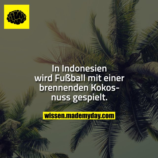 In Indonesien wird Fußball mit einer brennenden Kokosnuss gespielt.