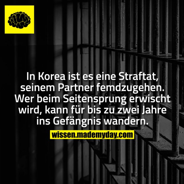 In Korea ist es eine Straftat, seinem Partner femdzugehen. Wer beim Seitensprung erwischt wird, kann für bis zu zwei Jahre ins Gefängnis wandern.