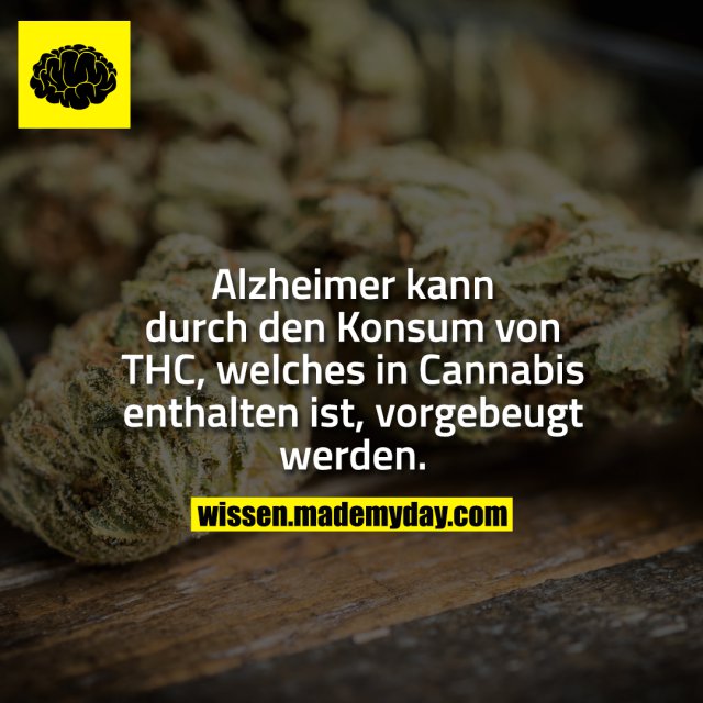 Alzheimer kann durch den Konsum von THC, welches in Cannabis enthalten ist, vorgebeugt werden.