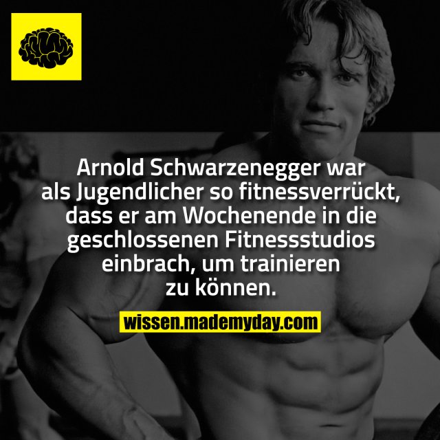 Arnold Schwarzenegger war als Jugendlicher so fitnessverrückt, dass er am Wochenende in die geschlossenen Fitnessstudios einbrach, um trainieren zu können.