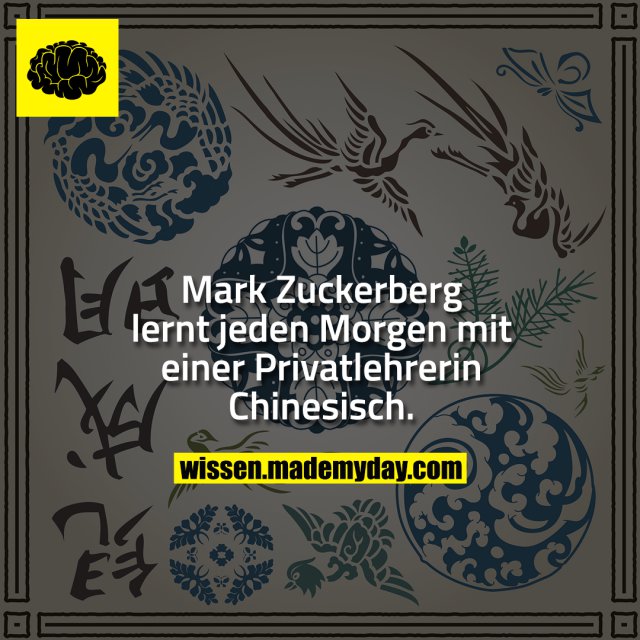 Mark Zuckerberg lernt jeden Morgen mit einer Privatlehrerin Chinesisch.