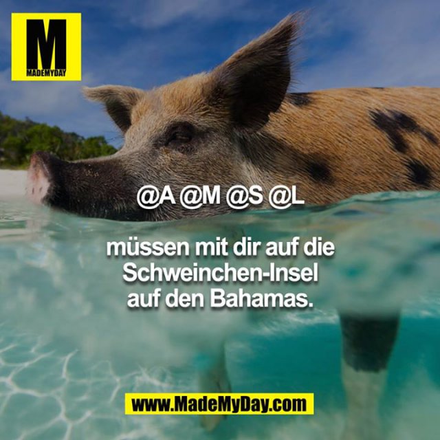 @A @M @S @L<br />
müssen mit dir auf die Schweinchen-Insel auf den Bahamas.