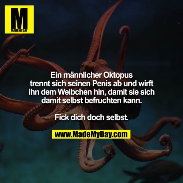 Ein männlicher Oktopus trennt sich seinen Penis ab und wirft ihn dem Weibchen hin, damit sie sich damit selbst befruchten kann.<br />
<br />
Fick dich doch selbst.