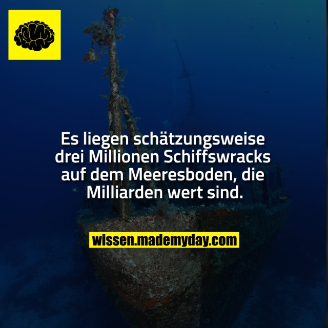 Es liegen schätzungsweise drei Millionen Schiffswracks auf dem Meeresboden, die Milliarden wert sind.