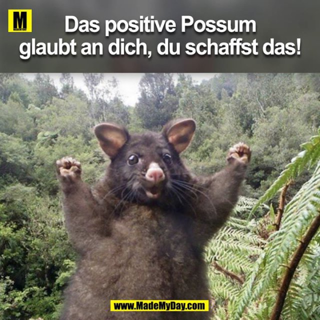 Das positive Possum<br />
glaubt an dich, du schaffst das!