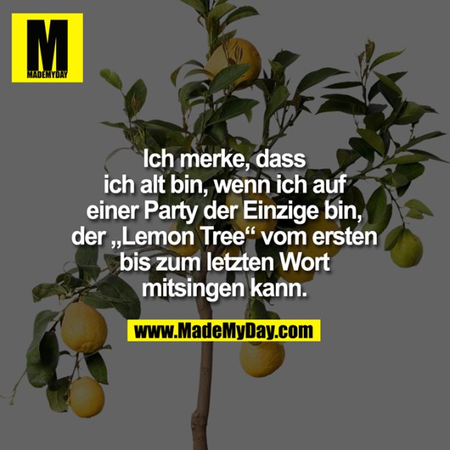 Ich merke, dass ich alt bin, wenn ich auf einer Party der Einzige bin, der „Lemon Tree“ vom ersten bis zum letzten Wort mitsingen kann.