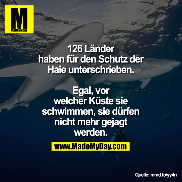 126 Länder haben für den Schutz der<br />
Haie unterschrieben.<br />
Egal, vor welcher Küste sie schwimmen, sie dürfen nicht <br />
mehr gejagt werden.