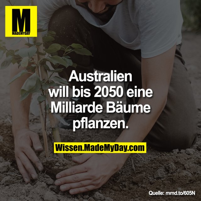 Australien will bis 2050 eine Milliarde Bäume pflanzen.