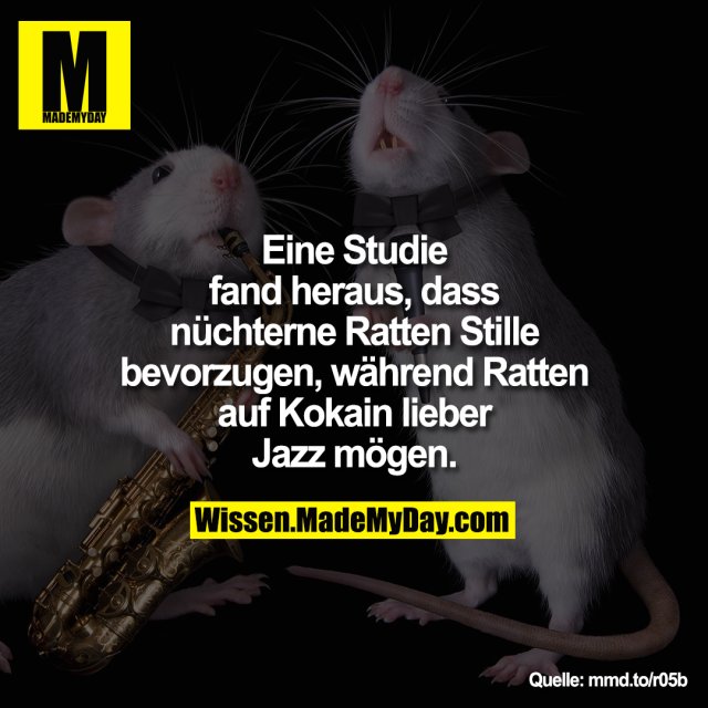 Eine Studie fand heraus, dass nüchterne Ratten Stille bevorzugen, während Ratten auf Kokain lieber Jazz mögen.<br />
mmd.to/r05b