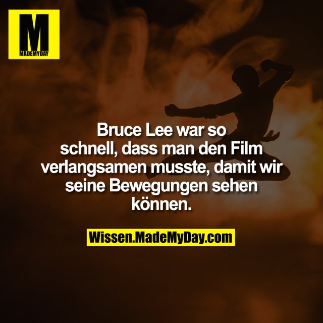 Bruce Lee war so schnell, dass man den Film verlangsamen musste, damit wir seine Bewegungen sehen können.