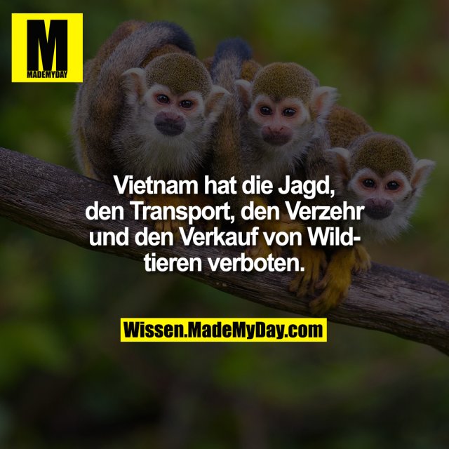 Vietnam hat die Jagd, den Transport, den Verzehr und den Verkauf von Wildtieren verboten.