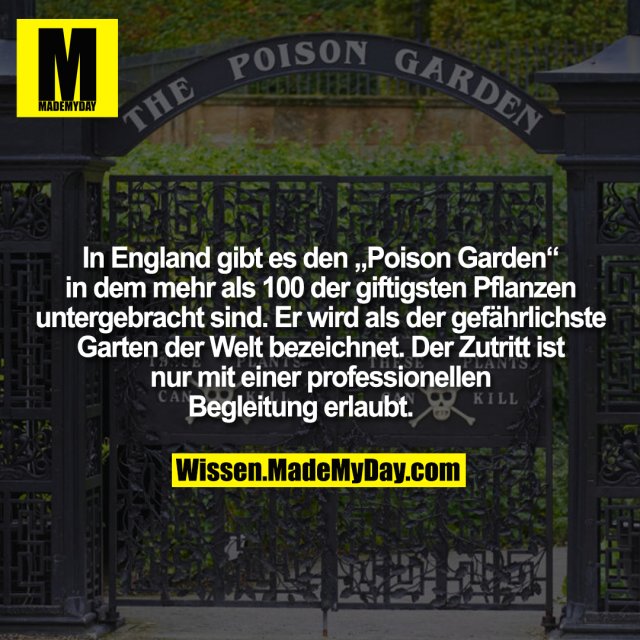 In England gibt es den „Poison Garden“ in dem mehr als 100 der giftigsten Pflanzen untergebracht sind. Er wird als der gefährlichste Garten der Welt bezeichnet. Der Zutritt ist nur mit einer professionellen Begleitung erlaubt.