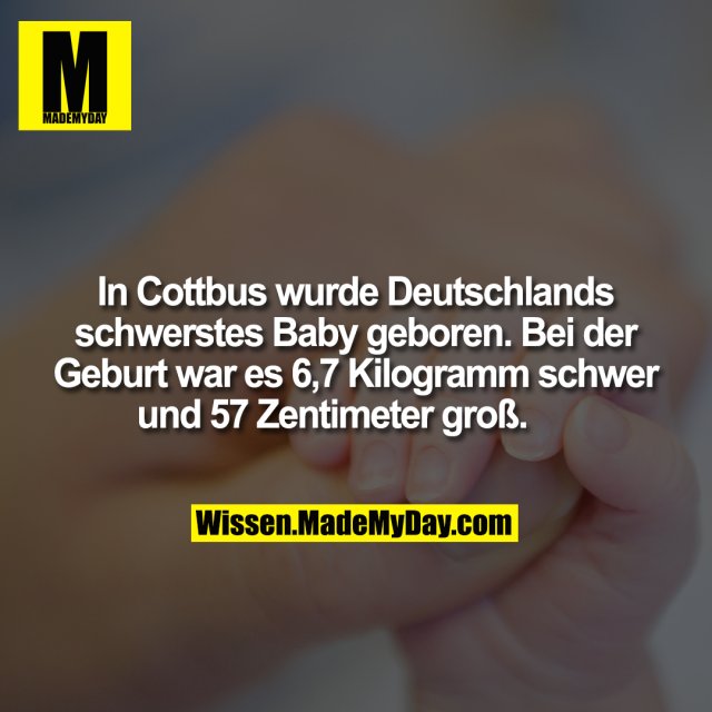 In Cottbus wurde Deutschlands schwerstes Baby geboren. Bei der Geburt war es 6,7 Kilogramm schwer und 57 Zentimeter groß.