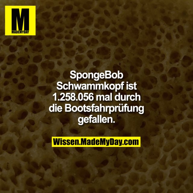 SpongeBob Schwammkopf ist 1.258.056 mal durch die Bootsfahrprüfung gefallen.