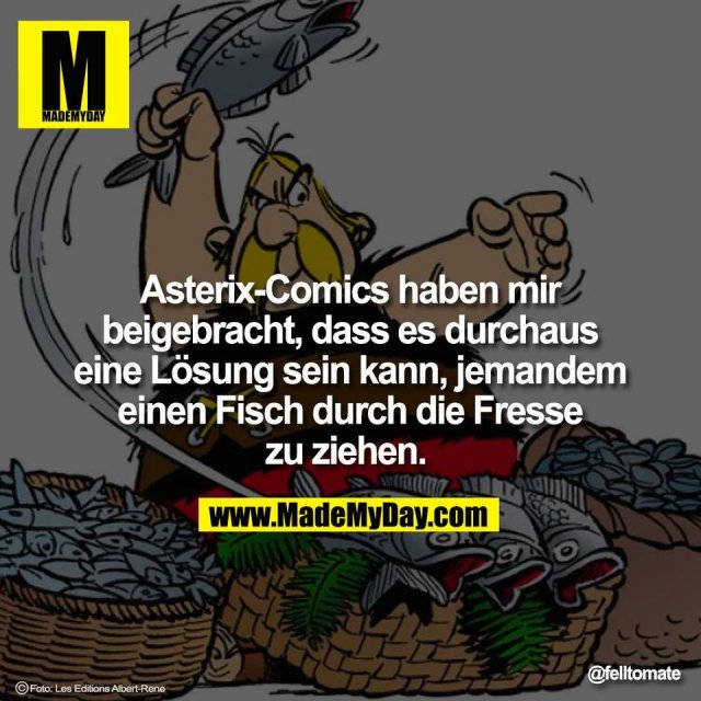 Asterix-Comics haben mir<br />
beigebracht, dass es durchaus<br />
eine Lösung sein kann, jemandem<br />
einen Fisch durch die Fresse<br />
zu ziehen.