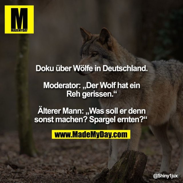 Doku über Wölfe in Deutschland.<br />
<br />
Moderator: „Der Wolf hat ein<br />
Reh gerissen.“<br />
<br />
Älterer Mann: „Was soll er denn<br />
sonst machen? Spargel ernten?“