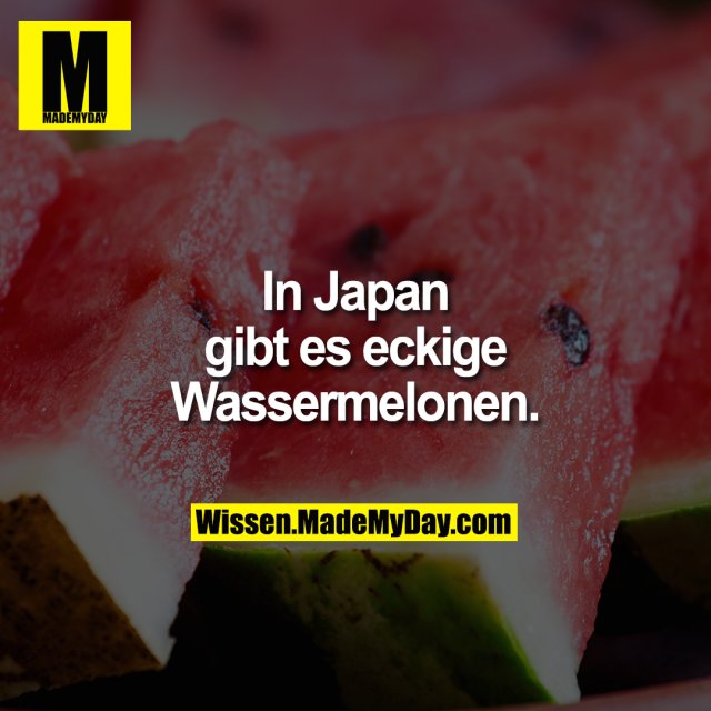 In Japan gibt es eckige Wassermelonen.