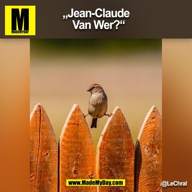 „Jean-Claude Van Wer?“<br />
@LeChral<br />
(BILD)
