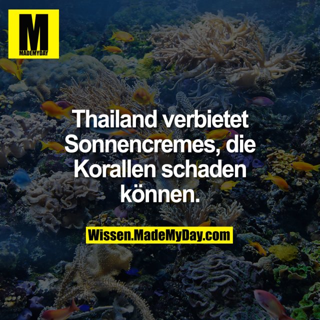 Thailand verbietet Sonnencremes, die Korallen schaden können.