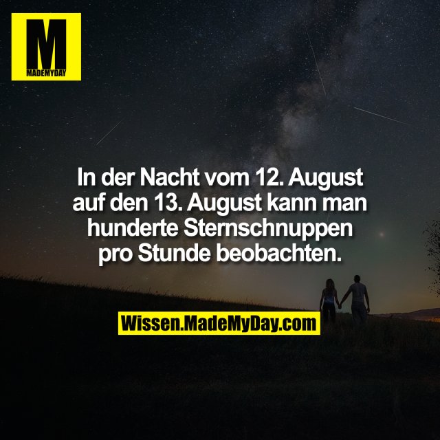 In der Nacht vom 12. August auf den 13. August kann man hunderte Sternschnuppen pro Stunde beobachten.