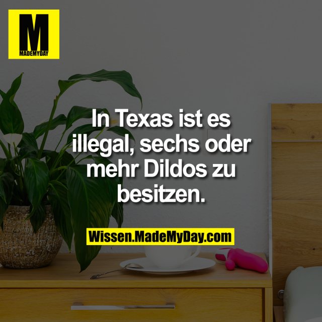 In Texas ist es illegal, sechs oder mehr Dildos zu besitzen.