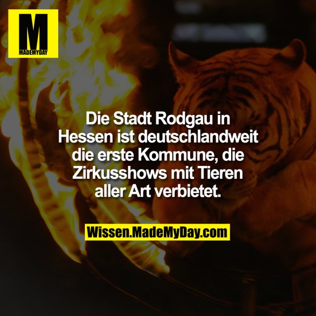 Die Stadt Rodgau in Hessen ist deutschlandweit die erste Kommune, die Zirkusshows mit Tieren aller Art verbietet.