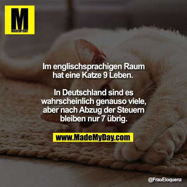 Im englischsprachigen Raum<br />
hat eine Katze 9 Leben. <br />
<br />
In Deutschland sind es<br />
wahrscheinlich genauso viele,<br />
aber nach Abzug der Steuern<br />
bleiben nur 7 übrig.