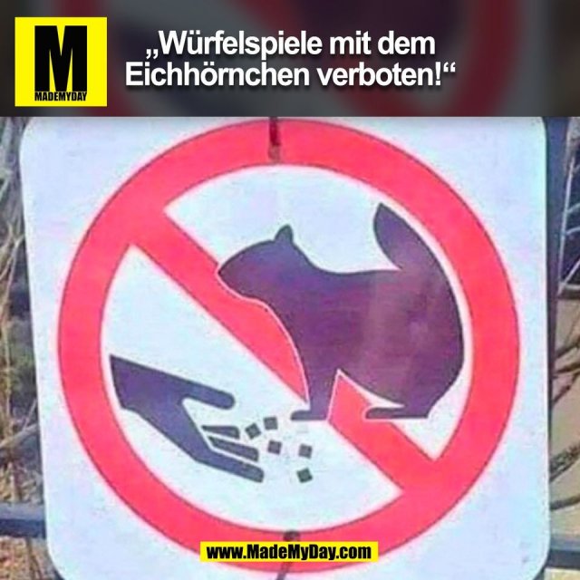 „Würfelspiele mit dem<br />
Eichhörnchen verboten!“<br />
(BILD)