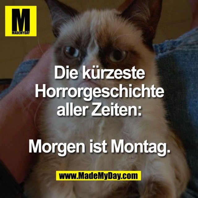 Die kürzeste<br />
Horrorgeschichte<br />
aller Zeiten:<br />
<br />
Morgen ist Montag.