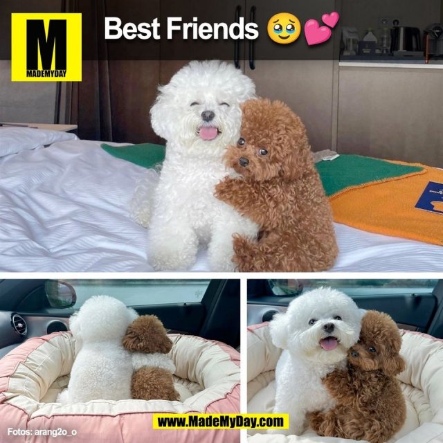 Best Friends 🥹💕<br />
(BILD)