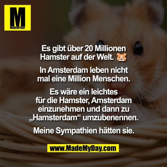 Es gibt über 20 Millionen<br />
Hamster auf der Welt. 🐹<br />
 <br />
In Amsterdam leben nicht<br />
mal eine Million Menschen.<br />
<br />
Es wäre ein leichtes<br />
für die Hamster, Amsterdam<br />
einzunehmen und dann zu<br />
„Hamsterdam“ umzubenennen.<br />
<br />
Meine Sympathien hätten sie.