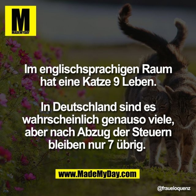 Im englischsprachigen Raum<br />
hat eine Katze 9 Leben.<br />
<br />
In Deutschland sind es<br />
wahrscheinlich genauso viele,<br />
aber nach Abzug der Steuern<br />
bleiben nur 7 übrig.