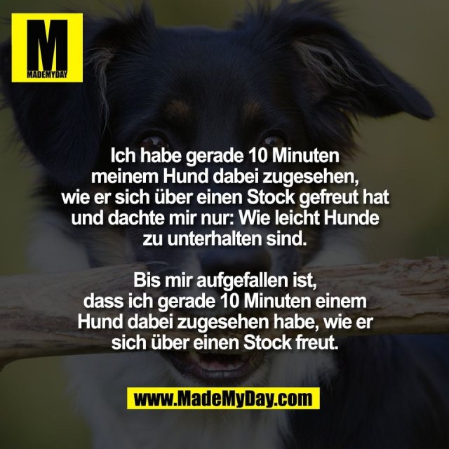 Ich habe gerade 10 Minuten<br />
meinem Hund dabei zugesehen,<br />
wie er sich über einen Stock gefreut hat<br />
und dachte mir nur: Wie leicht Hunde<br />
zu unterhalten sind.<br />
<br />
Bis mir aufgefallen ist,<br />
dass ich gerade 10 Minuten einem<br />
Hund dabei zugesehen habe, wie er<br />
sich über einen Stock freut.