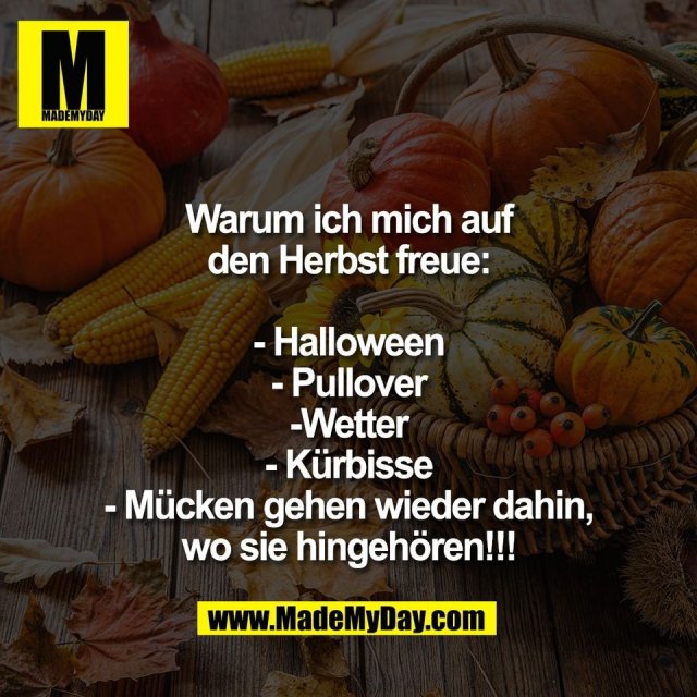 Warum ich mich auf<br />
den Herbst freue:<br />
<br />
- Halloween<br />
- Pullover<br />
-Wetter<br />
- Kürbisse<br />
- Mücken gehen wieder dahin,<br />
wo sie hingehören!!!