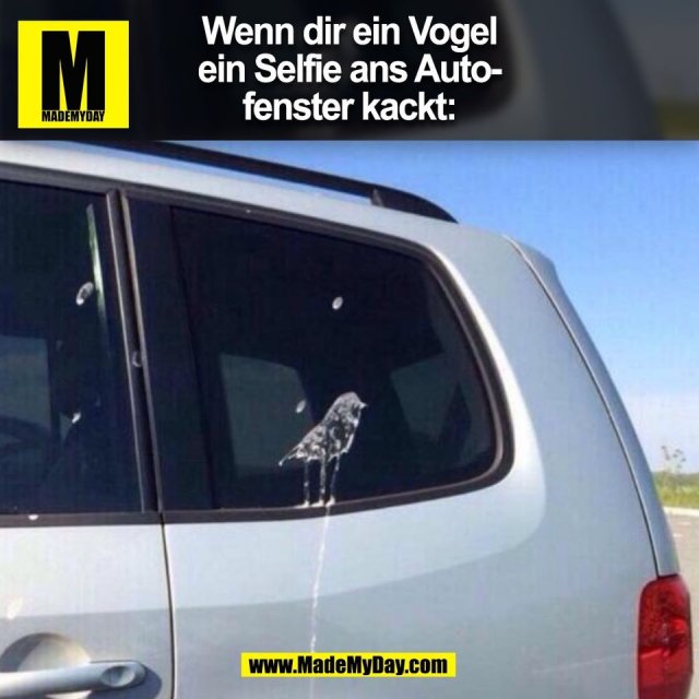 Wenn dir ein Vogel<br />
ein Selfie ans Auto-<br />
fenster kackt:<br />
(BILD)