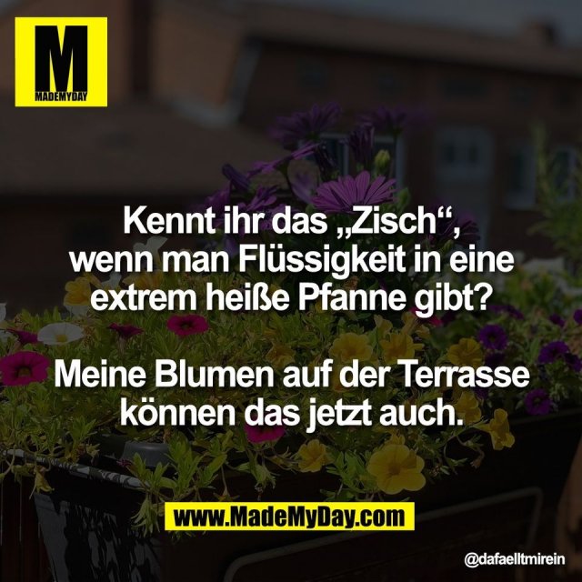 Kennt ihr das „Zisch“,<br />
wenn man Flüssigkeit in eine<br />
extrem heiße Pfanne gibt?<br />
<br />
Meine Blumen auf der Terrasse<br />
können das jetzt auch.