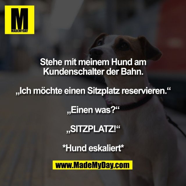 Stehe mit meinem Hund am<br />
Kundenschalter der Bahn.<br />
<br />
„Ich möchte einen Sitzplatz reservieren.“<br />
<br />
„Einen was?“<br />
<br />
„SITZPLATZ!“<br />
<br />
*Hund eskaliert*