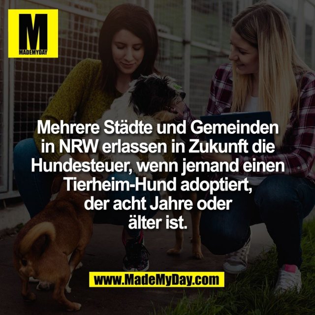 Mehrere Städte und Gemeinden<br />
in NRW erlassen in Zukunft die<br />
Hundesteuer, wenn jemand einen<br />
Tierheim-Hund adoptiert,<br />
der acht Jahre oder<br />
älter ist.