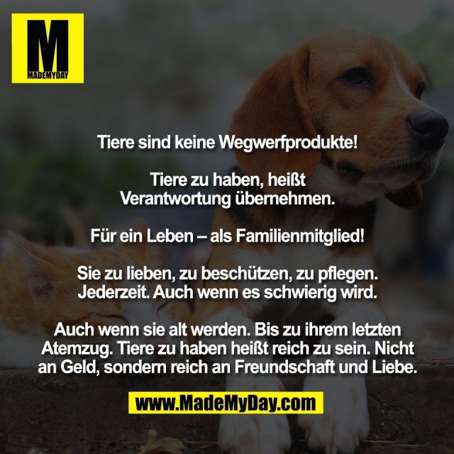 Tiere sind keine Wegwerfprodukte!<br />
<br />
Tiere zu haben, heißt<br />
Verantwortung übernehmen.<br />
<br />
Für ein Leben – als Familienmitglied!<br />
<br />
Sie zu lieben, zu beschützen, zu pflegen.<br />
Jederzeit. Auch wenn es schwierig wird.<br />
<br />
Auch wenn sie alt werden. Bis zu ihrem letzten<br />
Atemzug. Tiere zu haben heißt reich zu sein. Nicht<br />
an Geld, sondern reich an Freundschaft und Liebe.