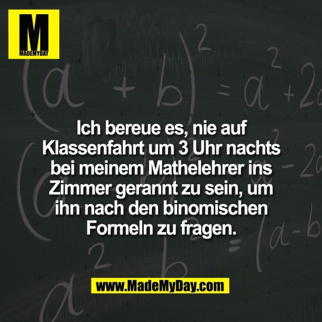 Ich bereue es, nie auf<br />
Klassenfahrt um 3 Uhr nachts<br />
bei meinem Mathelehrer ins<br />
Zimmer gerannt zu sein, um<br />
ihn nach den binomischen<br />
Formeln zu fragen.