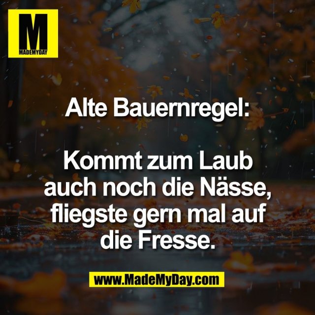 Alte Bauernregel:<br />
<br />
Kommt zum Laub<br />
auch noch die Nässe,<br />
fliegste gern mal auf<br />
die Fresse.