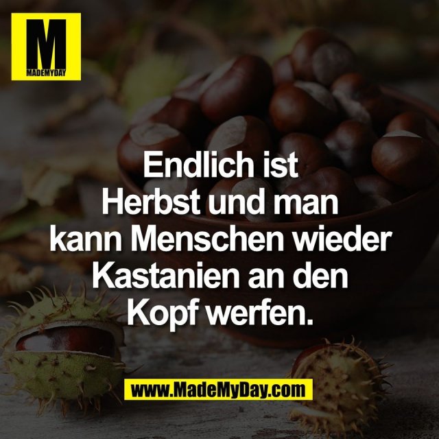 Endlich ist<br />
Herbst und man<br />
kann Menschen wieder<br />
Kastanien an den<br />
Kopf werfen.