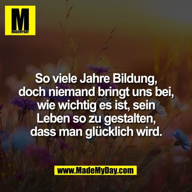 So viele Jahre Bildung,<br />
doch niemand bringt uns bei,<br />
wie wichtig es ist, sein<br />
Leben so zu gestalten,<br />
dass man glücklich wird.