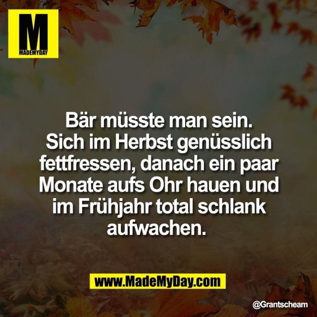 Bär müsste man sein.<br />
Sich im Herbst genüsslich<br />
fettfressen, danach ein paar<br />
Monate aufs Ohr hauen und<br />
im Frühjahr total schlank<br />
aufwachen.