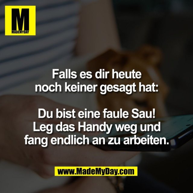 Falls es dir heute<br />
noch keiner gesagt hat:<br />
<br />
Du bist eine faule Sau!<br />
Leg das Handy weg und<br />
fang endlich an zu arbeiten.