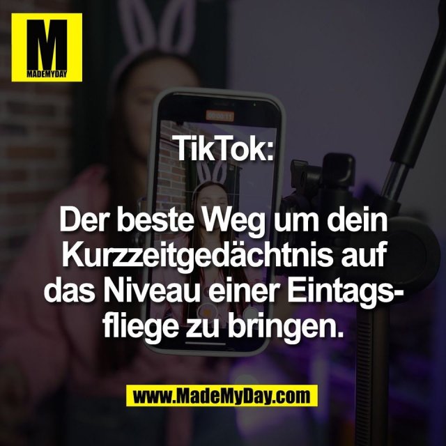 TikTok:<br />
<br />
Der beste Weg um dein<br />
Kurzzeitgedächtnis auf<br />
das Niveau einer Eintags-<br />
fliege zu bringen.