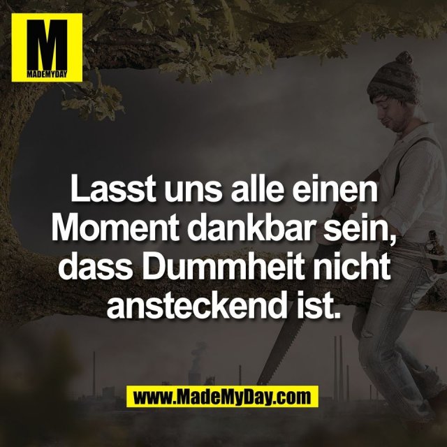 Lasst uns alle einen<br />
Moment dankbar sein,<br />
dass Dummheit nicht<br />
ansteckend ist.